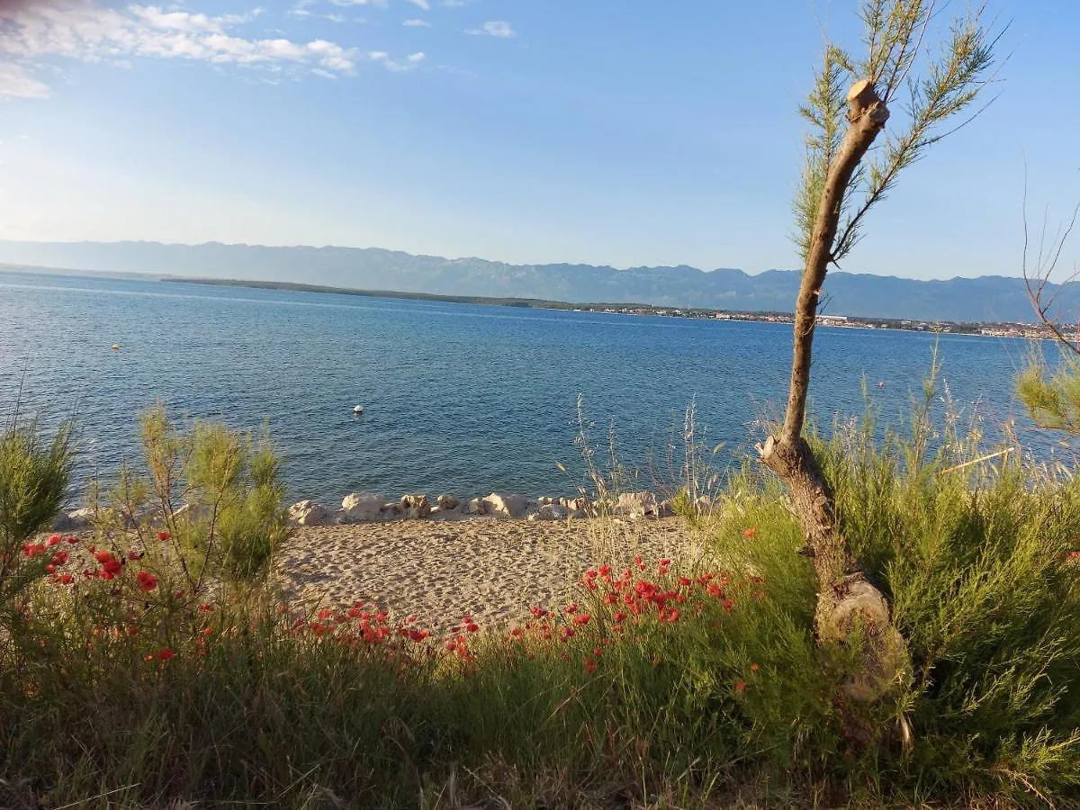 Apartmani Sunside Nin Croatia